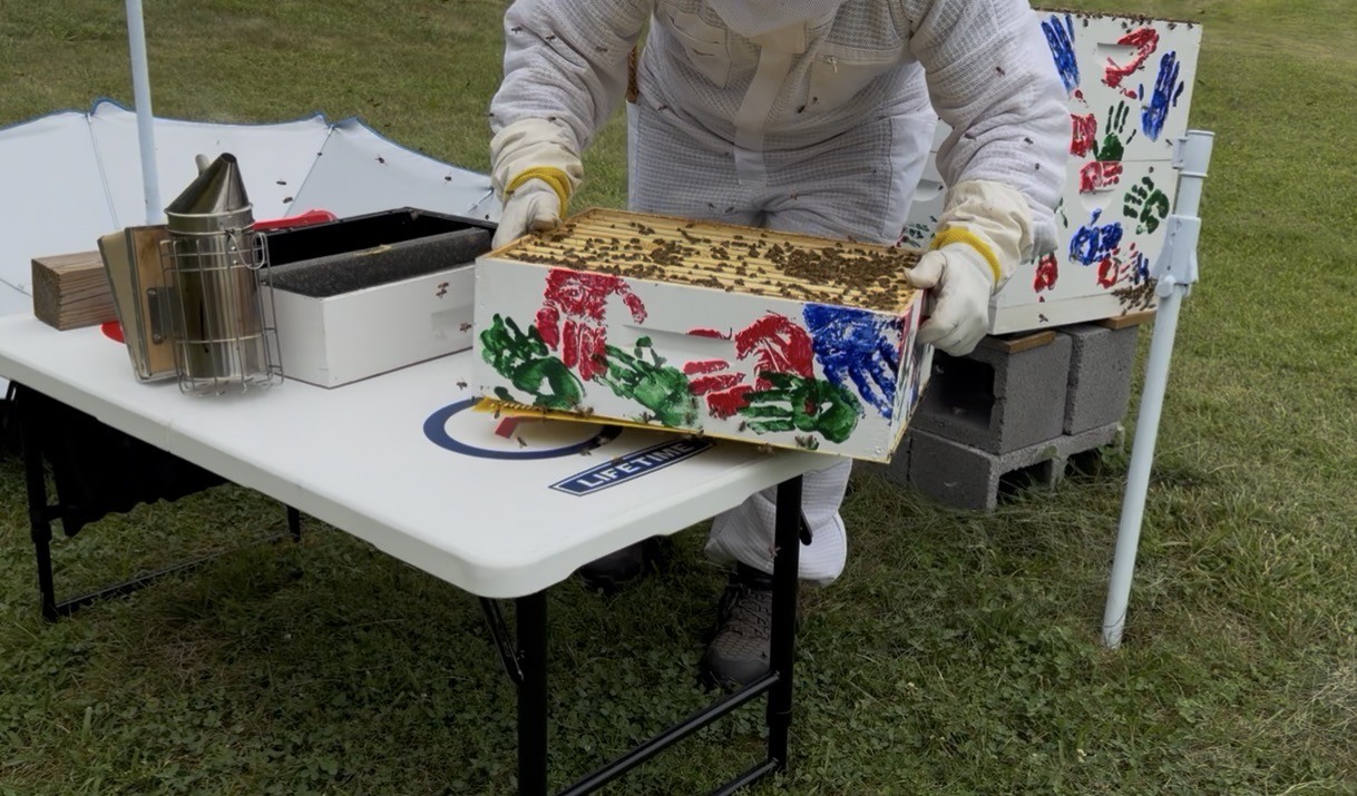 This is us working in the painted hive.