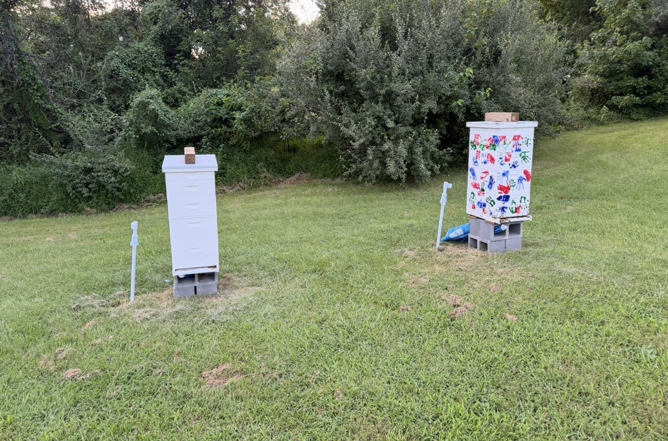 The two bee hives.